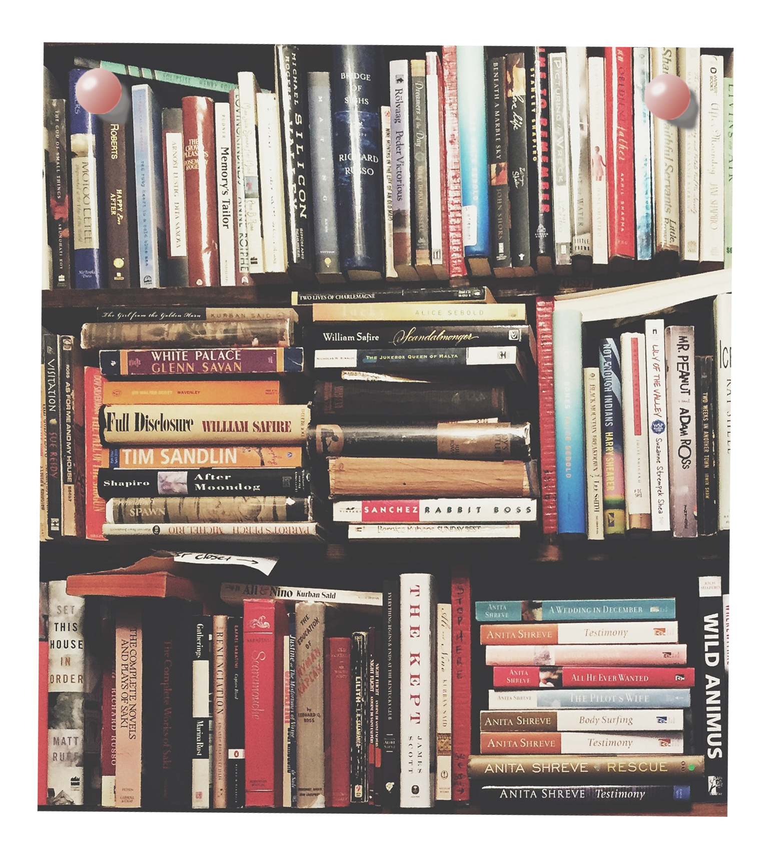 Image of a bookshelf pinned to webpage